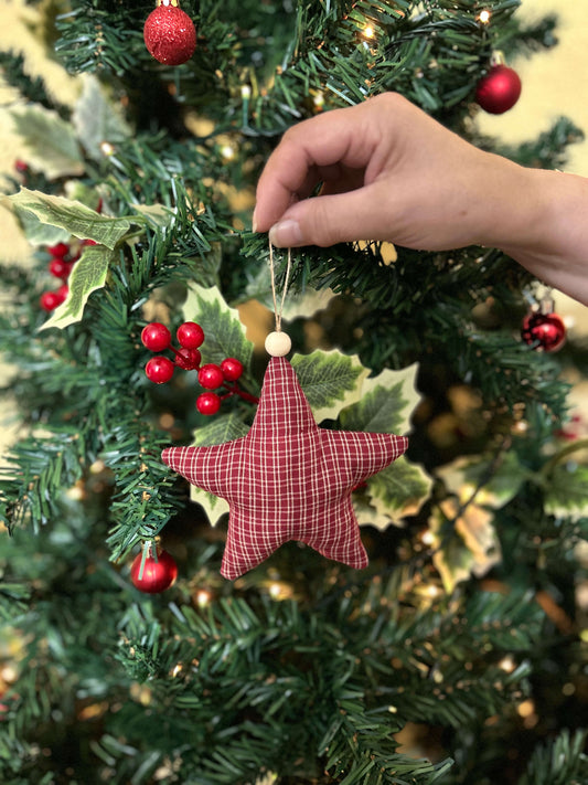 estrella campestre 2