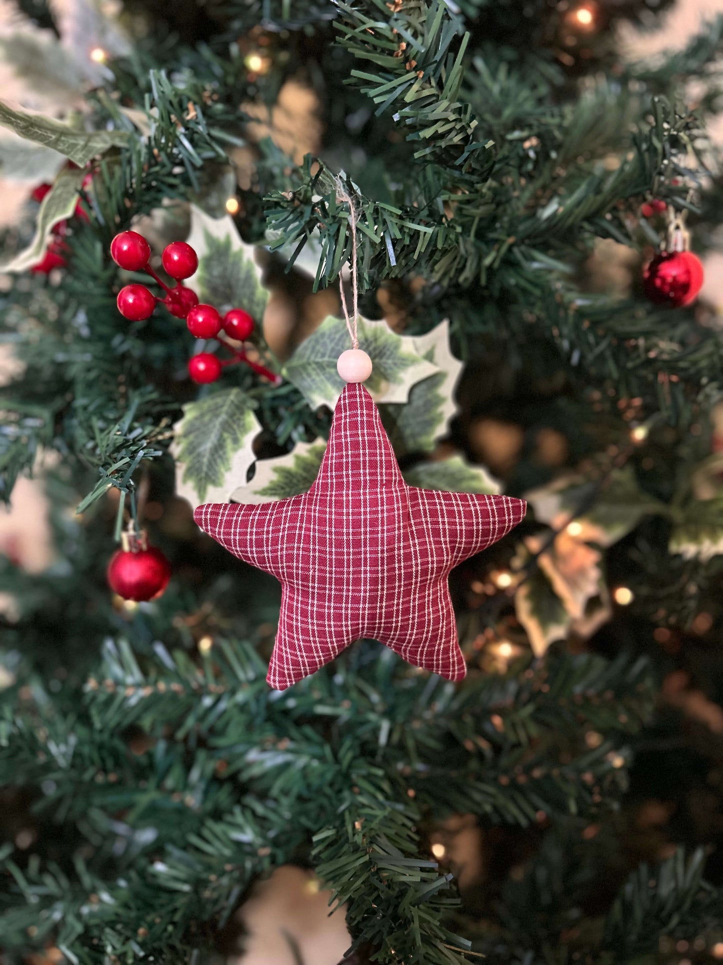 estrella campestre 1