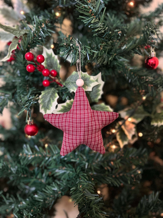 estrella campestre 1