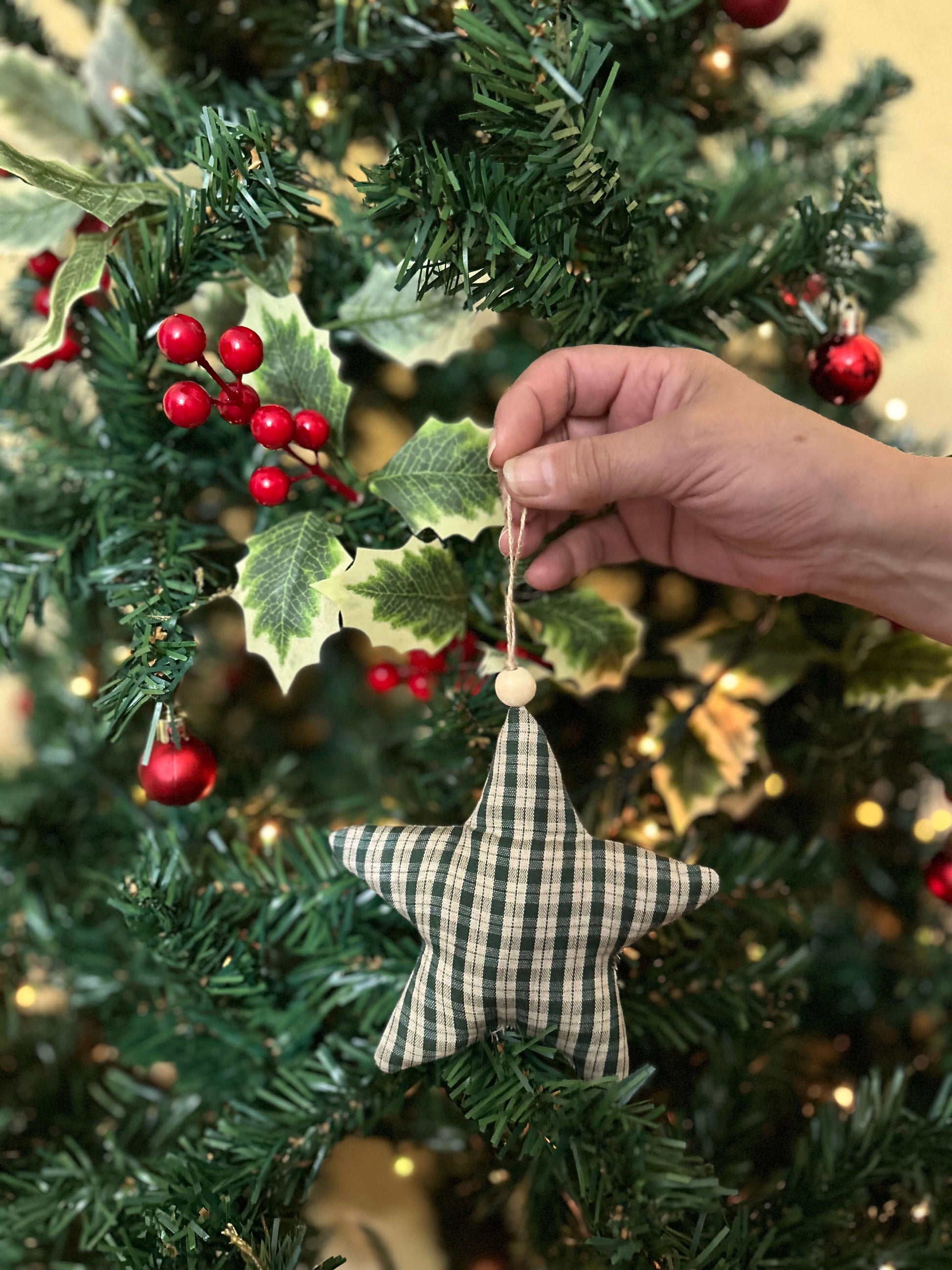 estrella campestre 4